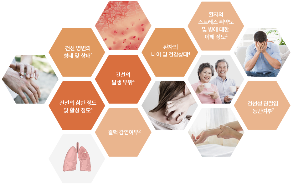 벌집모양안에 사람이미지와 텍스트가 삽입되어 있는 모습의 이미지