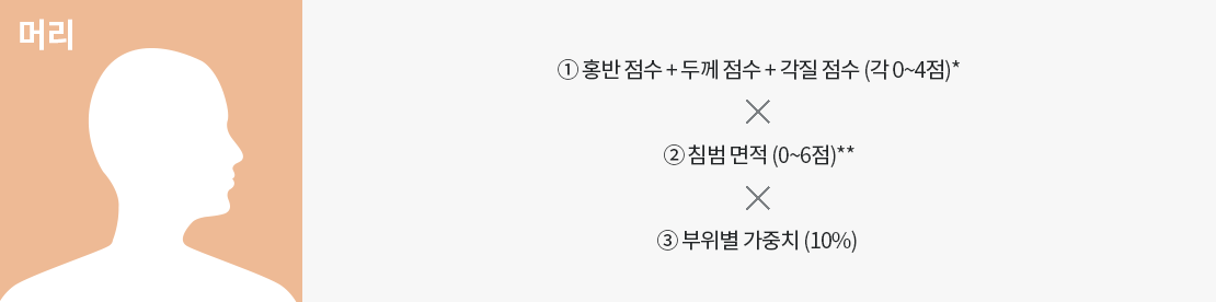 사람의 머리모양 이미지