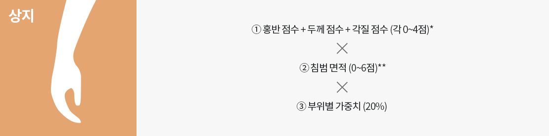 사람의 팔과 손모양 이미지