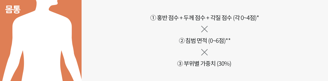 사람의 몸통모양 이미지