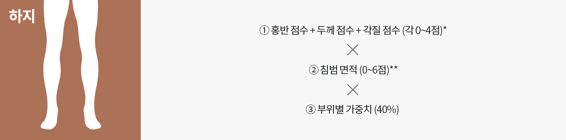 사람의 다리모양 이미지