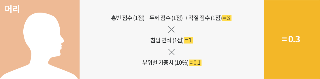 사람의 머리모양 이미지