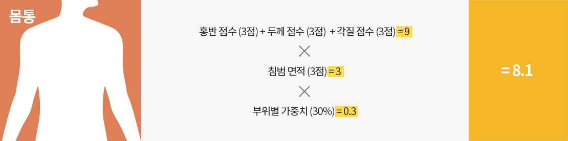 사람의 몸통모양 이미지