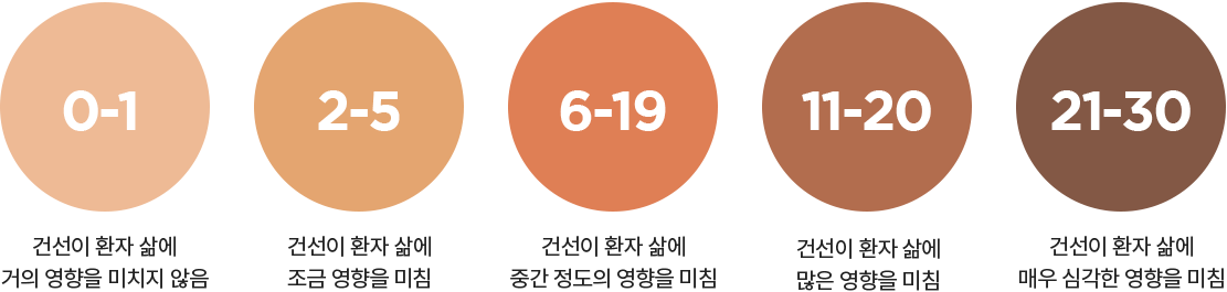 DLQI 점수의 의미 